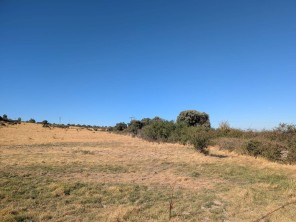 Vistas